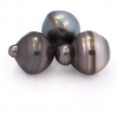 Lot von 3 Circlese TahitiPerlen C von 13 bis 13.4 mm