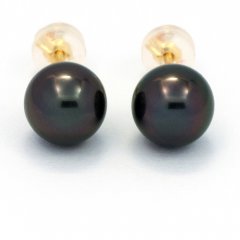 Orecchini in Oro 18K e 2 Perle di Tahiti Rotonde C 8.1 mm