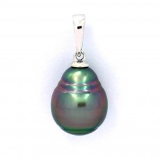 Ciondolo in Argento e 1 Perla di Tahiti Cerchiata B 10.3 mm