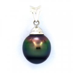 Ciondolo in Argento e 1 Perla di Tahiti Cerchiata C 10.1 mm