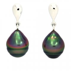 Orecchini in Argento e 2 Perle di Tahiti Cerchiate B 10.1 mm