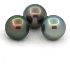 Lotto di 3 Perle di Tahiti Rotonde C di 11 a 11.2 mm