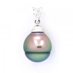 Ciondolo in Argento e 1 Perla de Tahiti Cerchiata C 11.4 mm