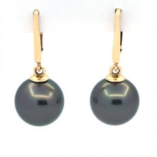 Orecchini in Oro 14K e 2 Perle di Tahiti Rotonde B 9.9 mm