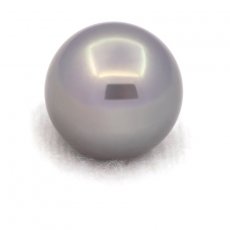 Perla di Tahiti Rotonda B 13.1 mm