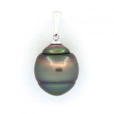 Ciondolo in Argento e 1 Perla de Tahiti Cerchiata C 12.8 mm