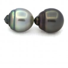Lotto di 2 Perle di Tahiti Cerchiate C 12.9 e 13.3 mm
