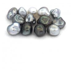 Lotto di 13 Keishi di Tahiti - 4.8 gr