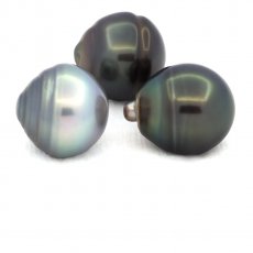 Lotto di 3 Perle di Tahiti Cerchiate C di 12.5 a 12.9 mm