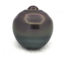 Perla di Tahiti Cerchiata C 14.3 mm