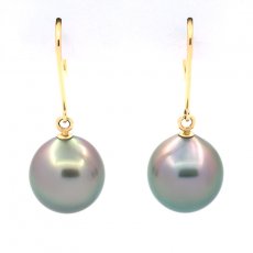 Orecchini in Oro 14K e 2 Perle di Tahiti Semi-Barocche B 9.5 mm