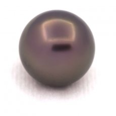 Perla di Tahiti Rotonda C 14.1 mm