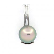 Ciondolo in Argento e 1 Perla de Tahiti Rotonda C 9.3 mm