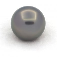 Perla di Tahiti Rotonda C 15 mm