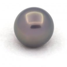 Perla di Tahiti Rotonda A/B 12.7 mm