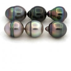 Lotto di 6 Perle di Tahiti Cerchiate B di 9.7 a 9.9 mm