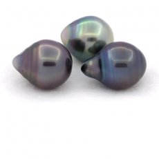 Lotto di 3 Perle di Tahiti Cerchiate C di 10.5 a 10.8 mm