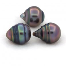 Lotto di 3 Perle di Tahiti Cerchiate C di 10.5 a 10.8 mm