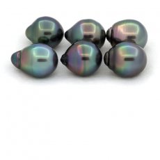 Lotto di 6 Perle di Tahiti Cerchiate B di 10 a 10.4 mm