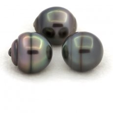 Lotto di 3 Perle di Tahiti Cerchiate C di 12.5 a 12.9 mm