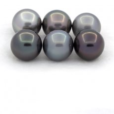 Lotto di 6 Perle di Tahiti Rotonde e Semi-Rotonde C di 9.6 a 9.9 mm