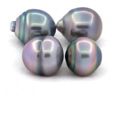 Lotto di 4 Perle di Tahiti Cerchiate C di 11.5 a 11.9 mm