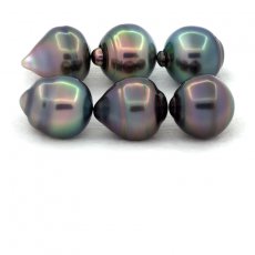 Lotto di 6 Perle di Tahiti Cerchiate B/C di 10.5 a 10.9 mm