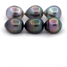 Lotto di 6 Perle di Tahiti Cerchiate B/C di 10.5 a 10.8 mm