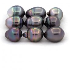 Lotto di 9 Perle di Tahiti Cerchiate C di 10.5 a 10.9 mm