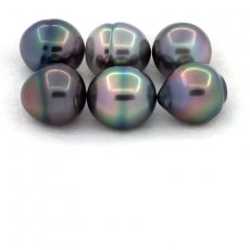Lotto di 6 Perle di Tahiti Cerchiate B di 11 a 11.2 mm