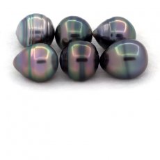 Lotto di 6 Perle di Tahiti Cerchiate C di 11 a 11.5 mm