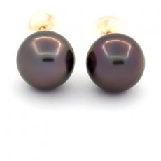 Orecchini in Oro 18K e 2 Perle di Tahiti Rotonde C 9.4 mm