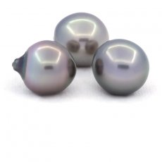 Lotto di 3 Perle di Tahiti Semi-Barocche B/C di 13.5 a 13.7 mm