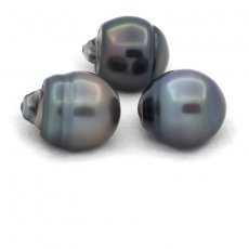 Lotto di 3 Perle di Tahiti Cerchiate C di 12.6 a 12.7 mm