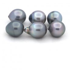 Lotto di 6 Perle di Tahiti Semi-Barocche B di 11.1 a 11.4 mm