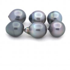 Lotto di 6 Perle di Tahiti Semi-Barocche B di 11.1 a 11.4 mm