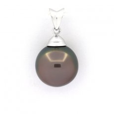 Ciondolo in Argento e 1 Perla di Tahiti Semi-Rotonda C 11.7 mm