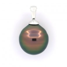 Ciondolo in Argento e 1 Perla de Tahiti Cerchiata B 10.8 mm