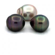 Lotto di 3 Perle di Tahiti Cerchiate C di 12.6 a 12.8 mm