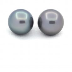 Lot of 2 Tahitian Pearls Round C 11.7 and 11.9 mm