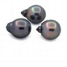 Lot of 3 Tahitian Pearls Semi-Baroque C 12.2 mm