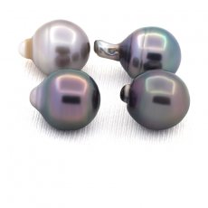 Lotto di 4 Perle di Tahiti Cerchiate C di 11.6 a 11.7 mm