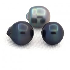 Lotto di 3 Perle di Tahiti Cerchiate D di 13.5 a 13.9 mm