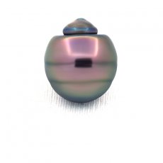Perla di Tahiti Cerchiata C 14.4 mm