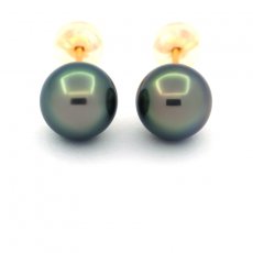 Orecchini in Oro 18K e 2 Perle di Tahiti Rotonde B/C 8.1 mm