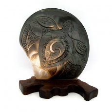 Madreperla di Tahiti Incisa su un supporto in Legno (Tou)