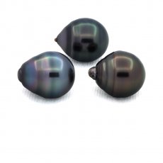 Lot of 3 Tahitian Pearls Ringed C from 11.3 to 11.4 mm