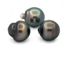Lot de 3 Perles de Tahiti Cercles C de 11.6  11.8 mm