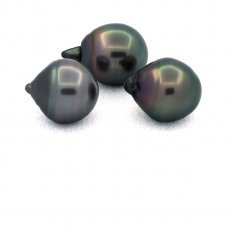 Lotto di 3 Perle di Tahiti Cerchiate C di 11.6 a 11.7 mm