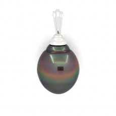 Ciondolo in Argento e 1 Perla de Tahiti Cerchiata B 13.4 mm